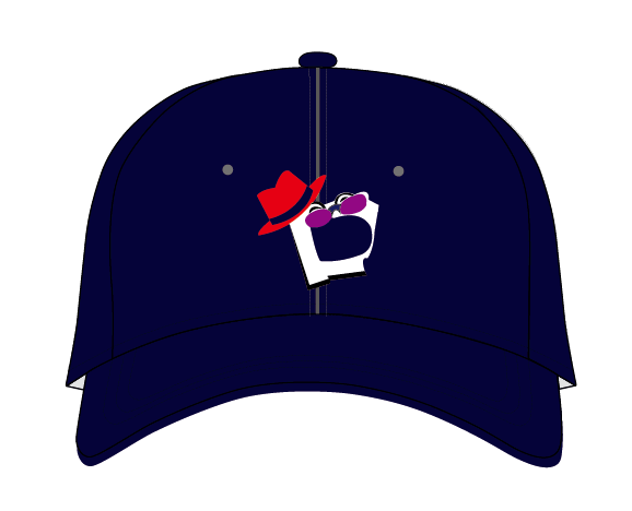 254 Daewen logo 5 panel caps